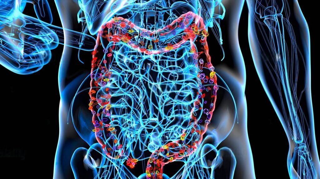 microbiote intestinal